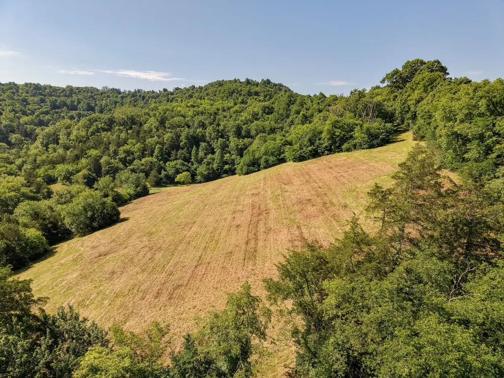 0 P Davis Road Auburntown TN 37016