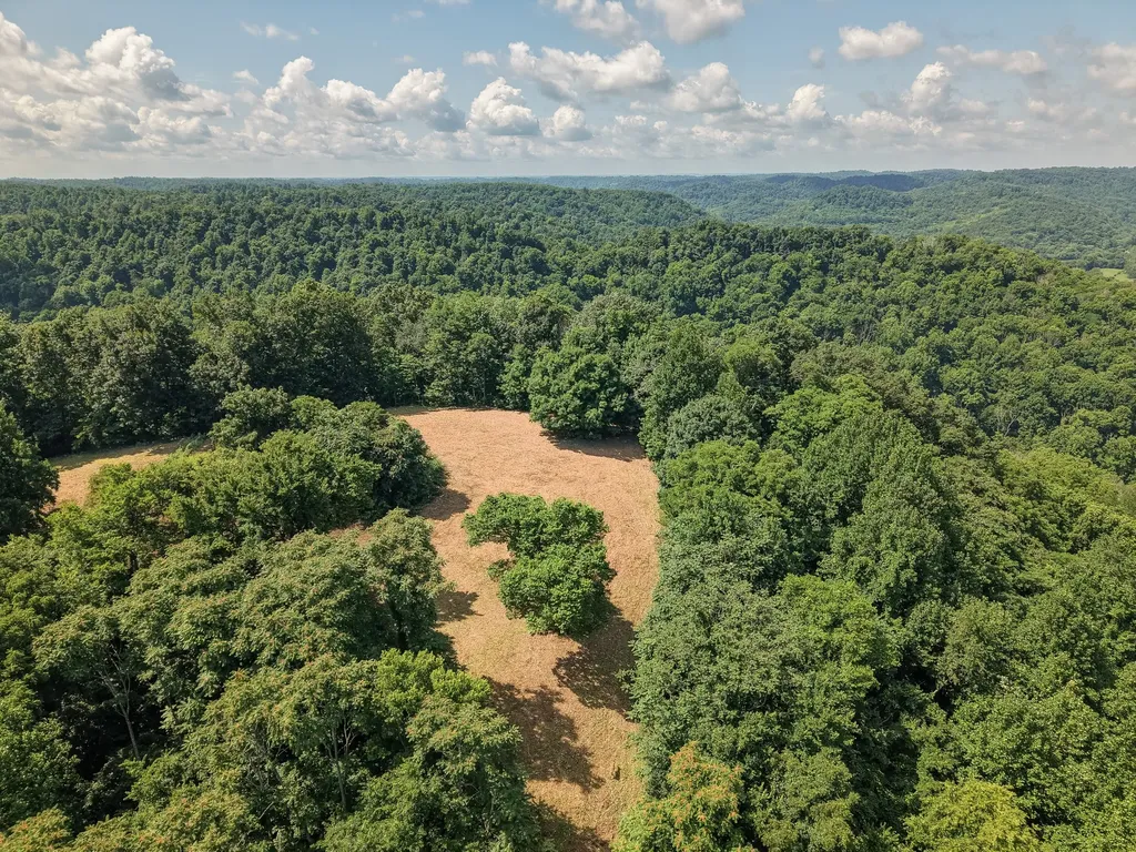 0 P Davis Road Auburntown TN 37016