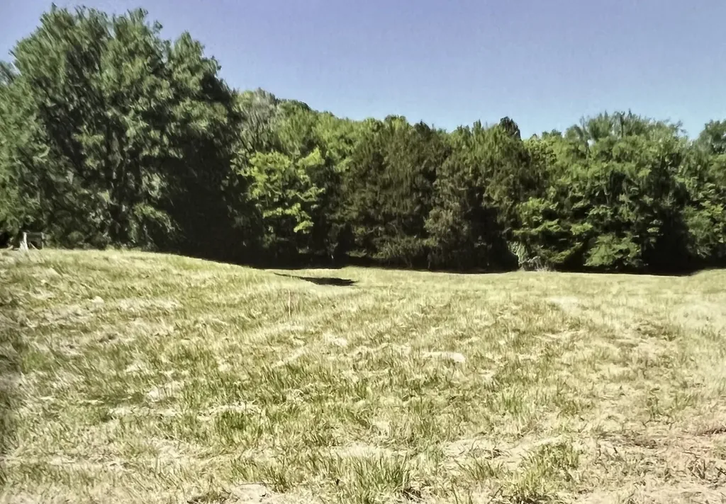 0 Preston Lane Elmwood TN 38560