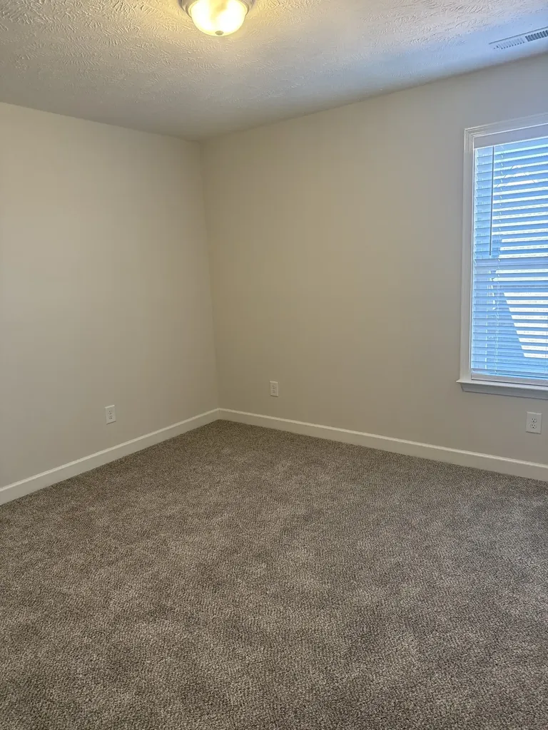 3176 Dusenburg Drive Christiana TN 37037