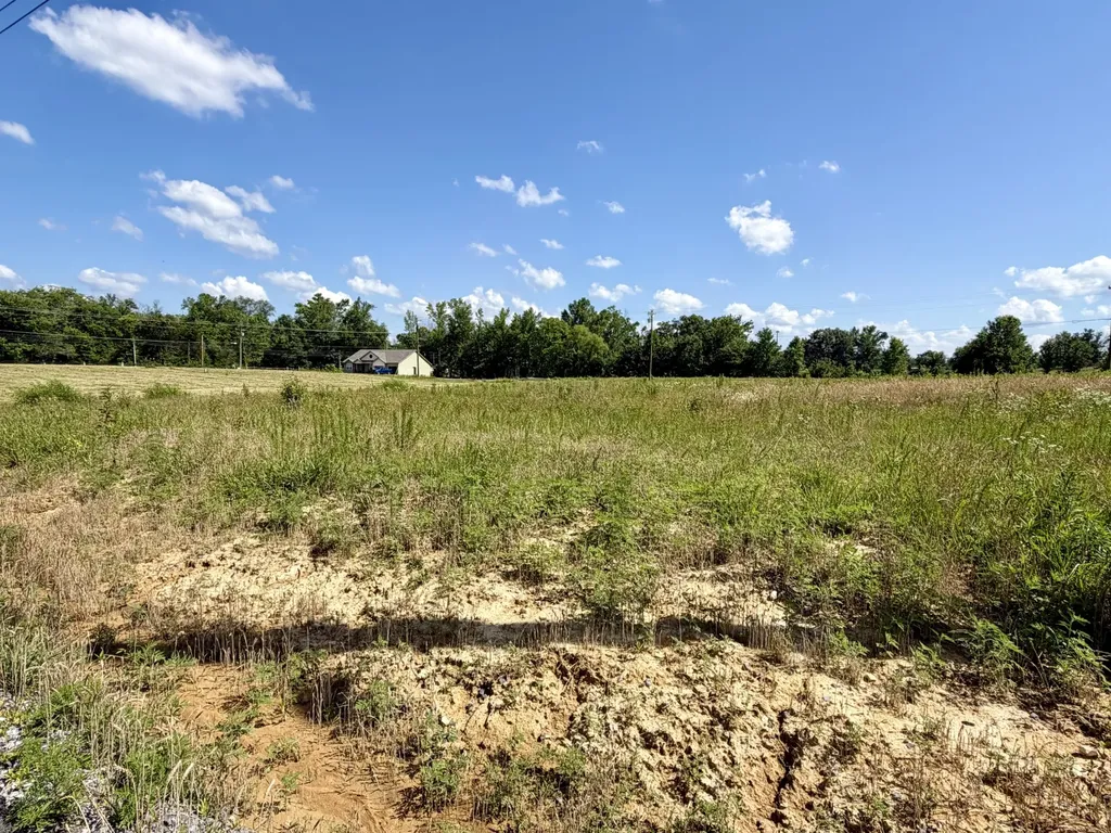 791 Regan Loop Baxter TN 38544