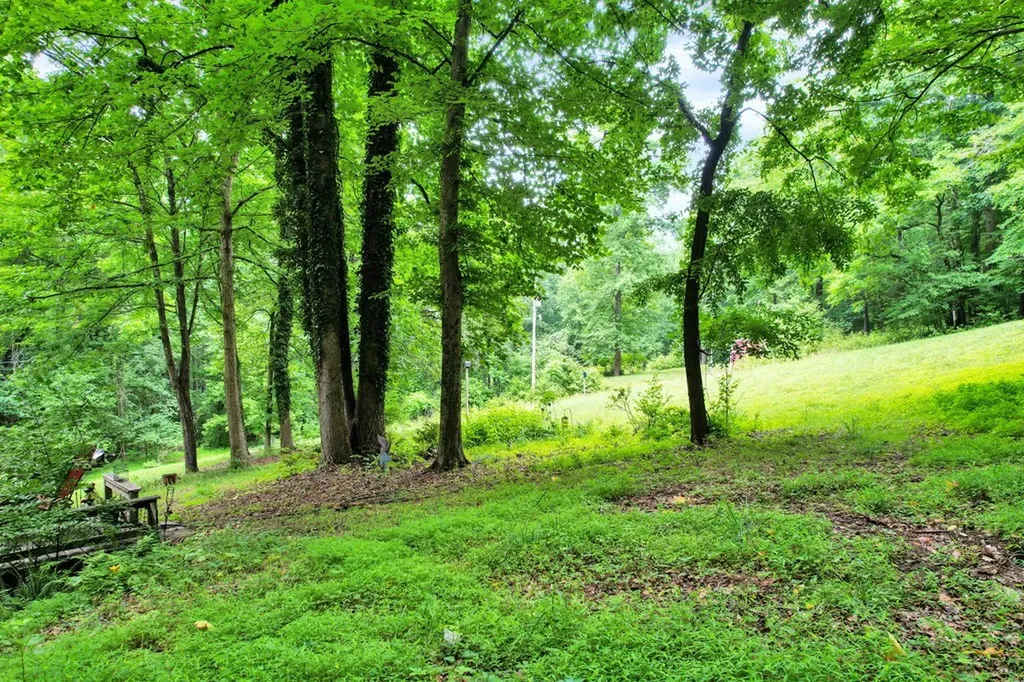 134 Mckinney Road Harriman TN 37748