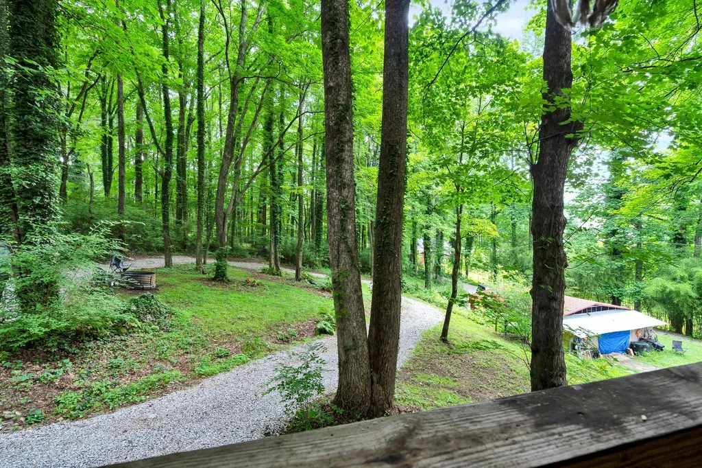 134 Mckinney Road Harriman TN 37748