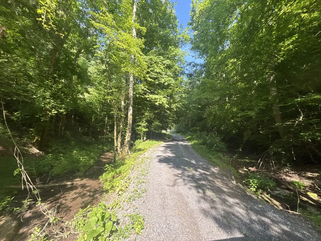 150 Amons Lane Lafayette TN 37083