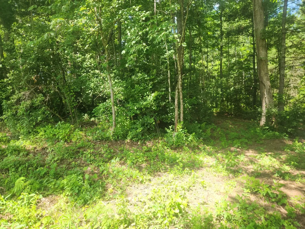 2888 Nashville Highway Lancing TN 37770
