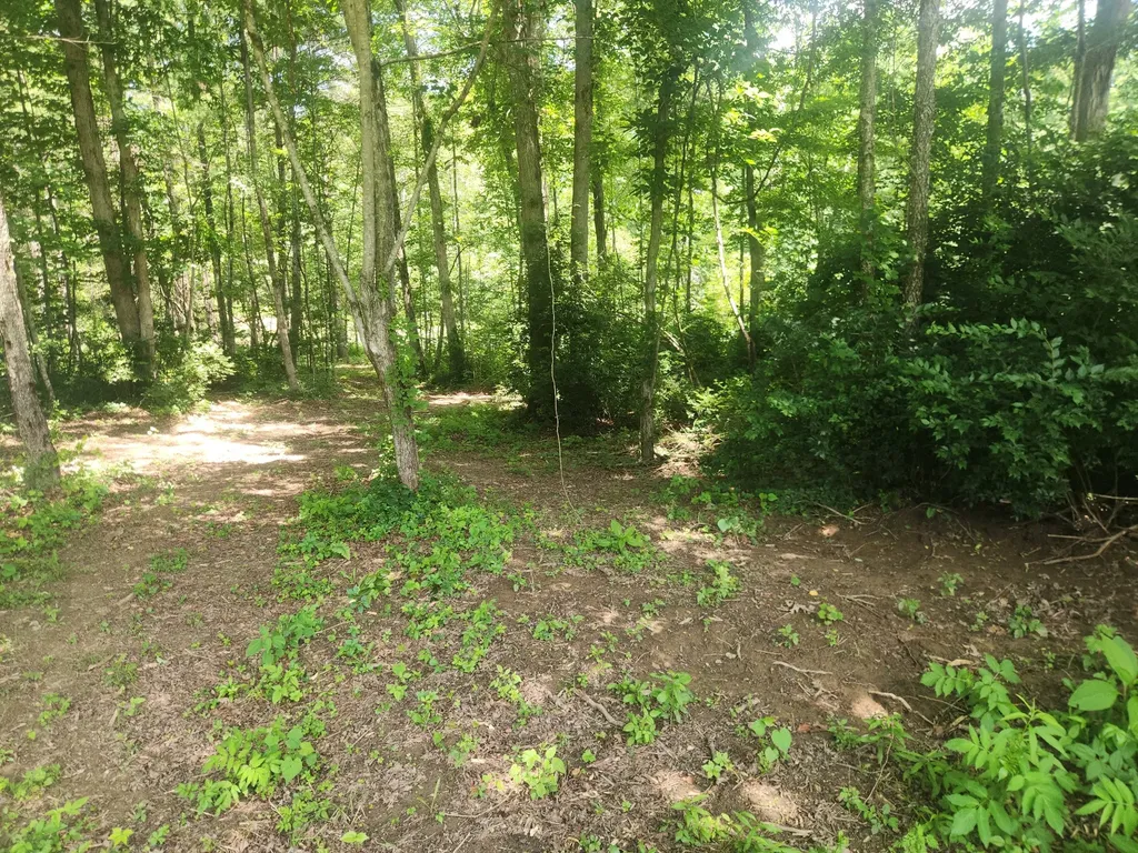 2888 Nashville Highway Lancing TN 37770