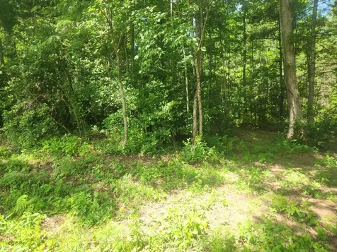 2888 Nashville Highway Lancing TN 37770