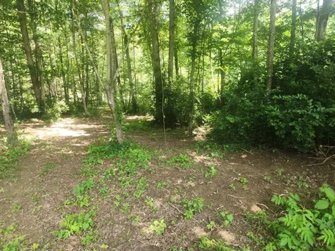 2888 Nashville Highway Lancing TN 37770
