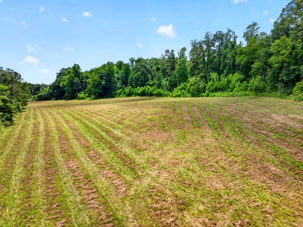 0 Ellis Mills Road Erin TN 37061