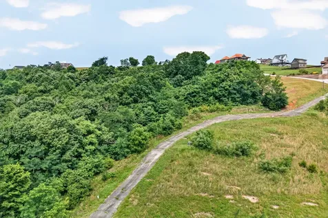 0 Turtle Lane Celina TN 38551