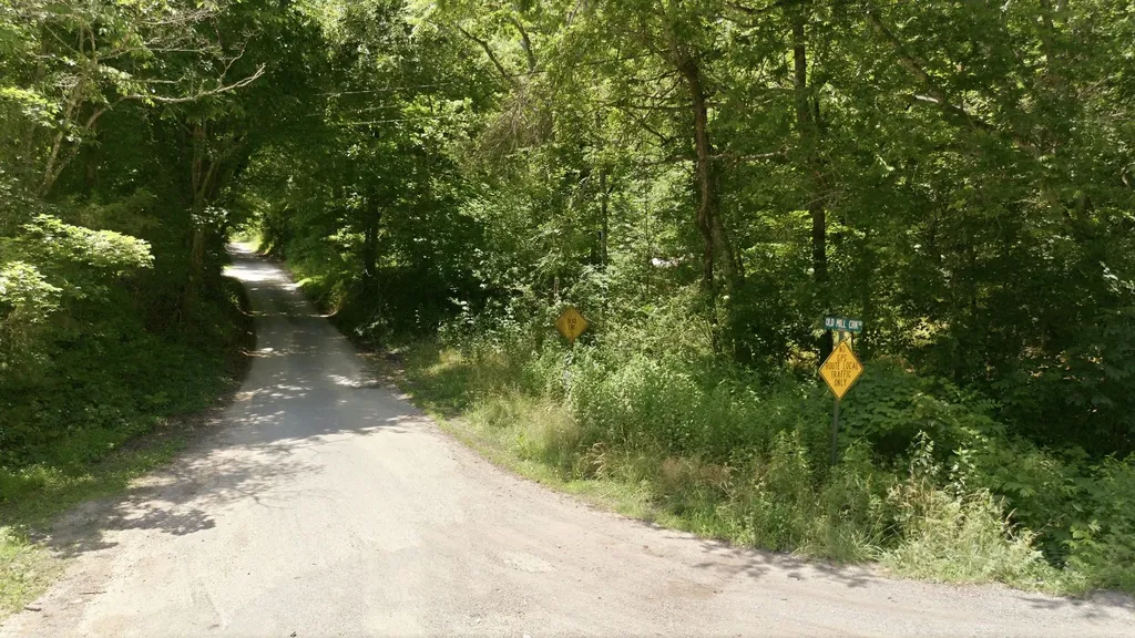 6829 Old Mill Creek Road Nunnelly TN 37137