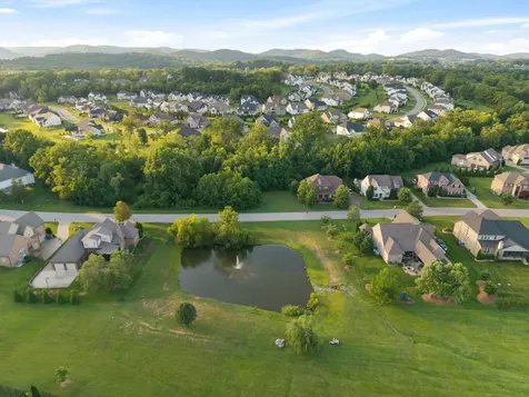 4011 Pinwheel Court Arrington TN 37014
