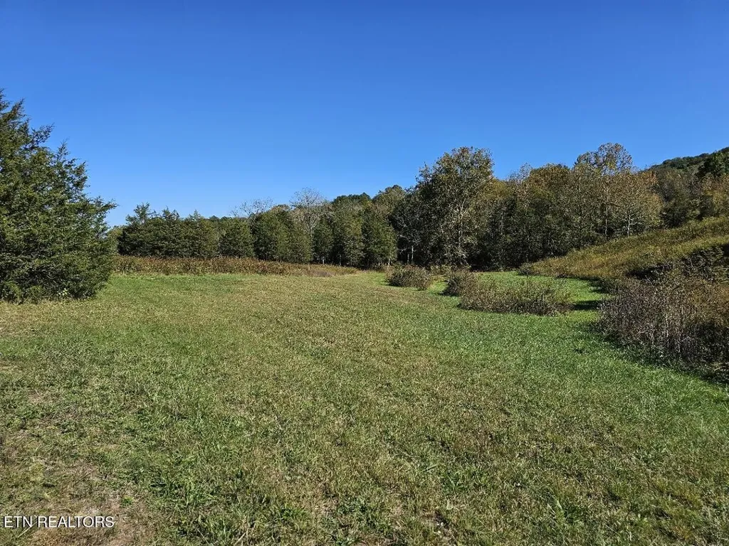 0 Shoreline Vista Sharps Chapel TN 37866