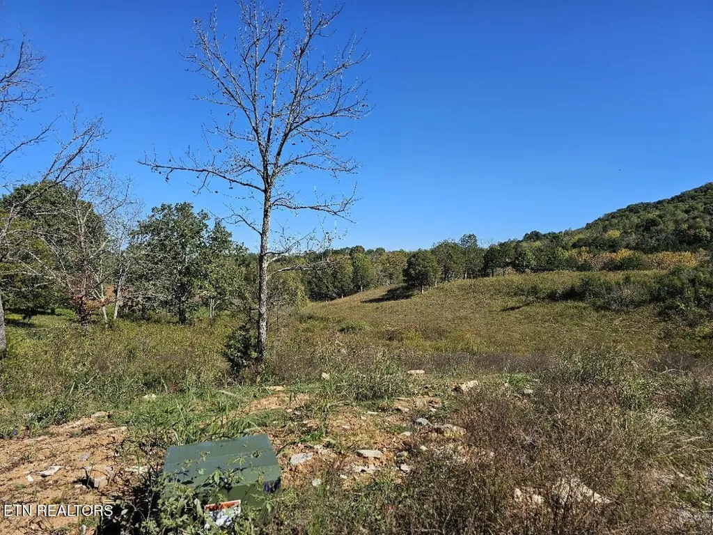 0 Shoreline Vista Sharps Chapel TN 37866