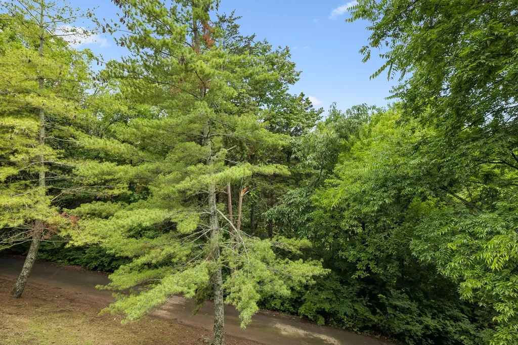 2668 Thompson Station Road, E Thompsons Station TN 37179