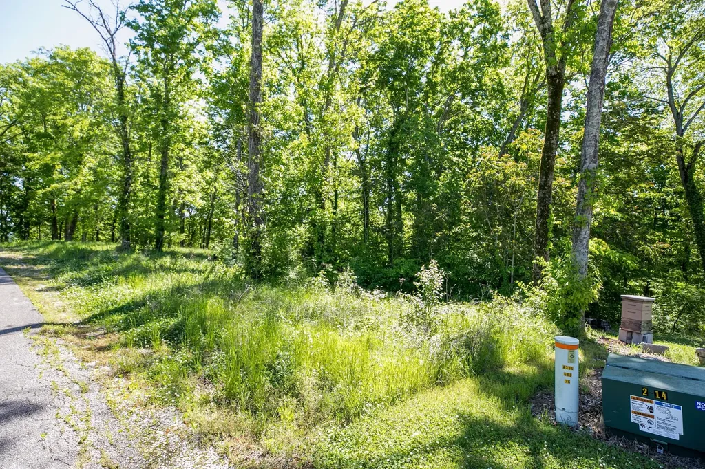 500 Maury Lane Smithville TN 37166