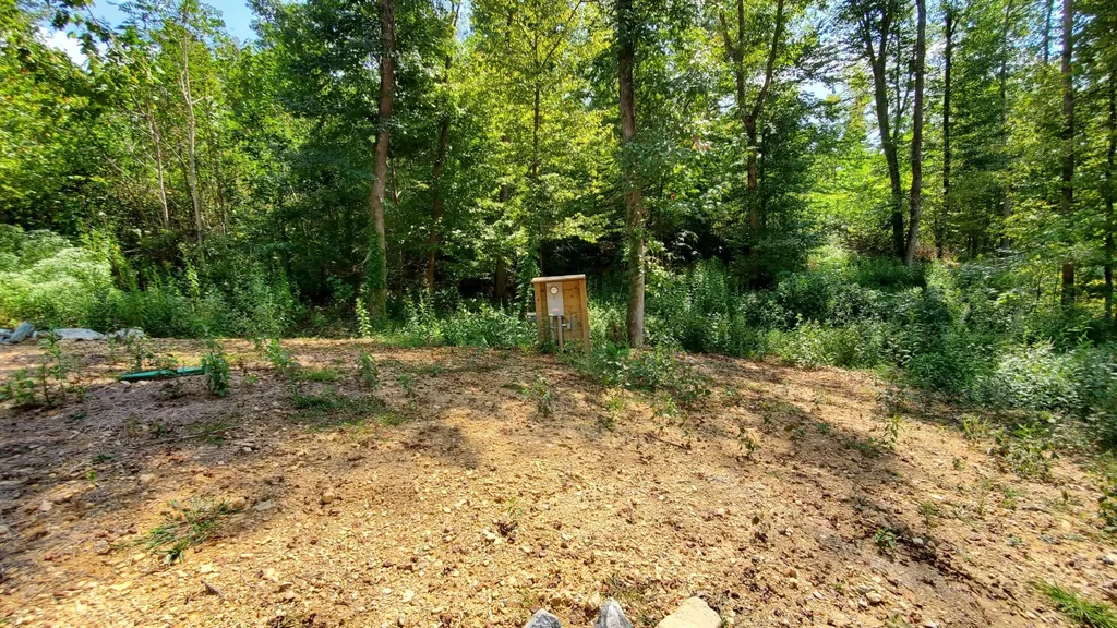 570 Beasley Hollow Road Linden TN 37096
