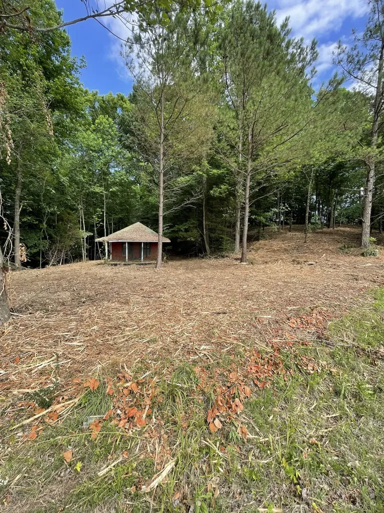 0 Sulphur Creek Road Big Sandy TN 38221