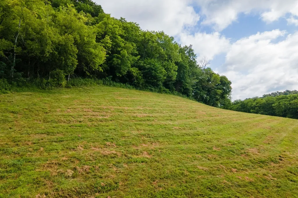 193 Dixon Lane Pleasant Shade TN 37145