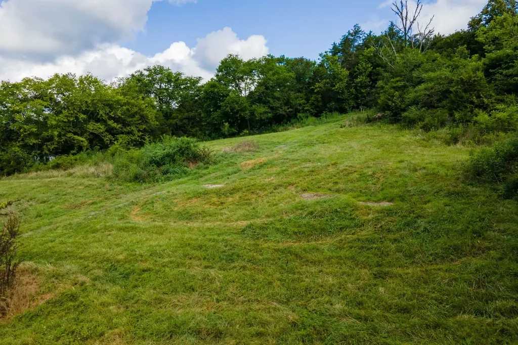 193 Dixon Lane Pleasant Shade TN 37145