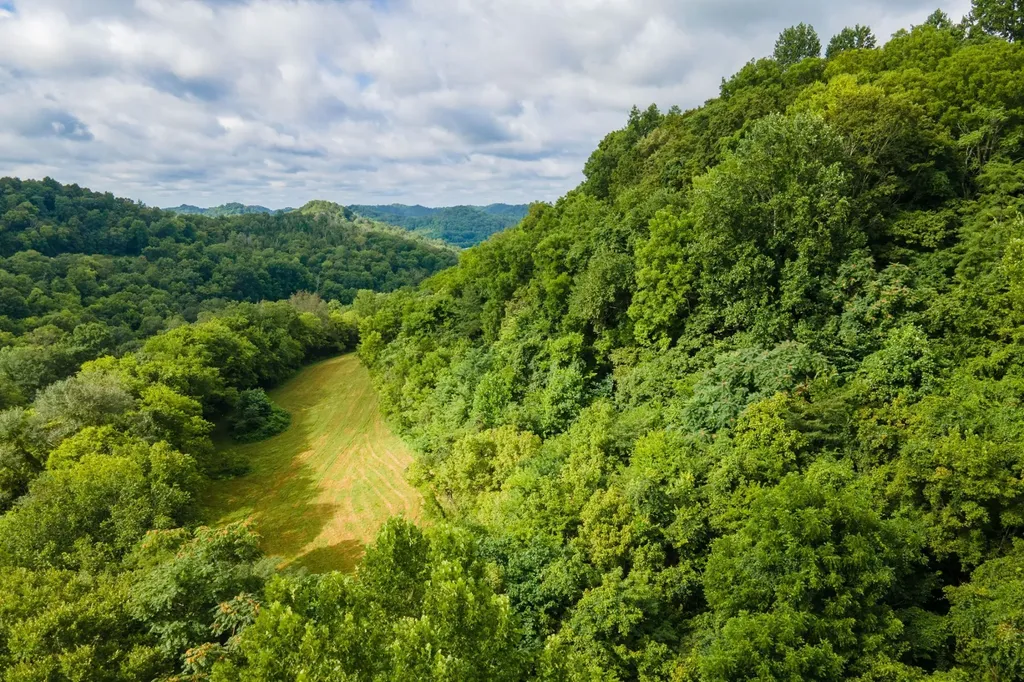 193 Dixon Lane Pleasant Shade TN 37145