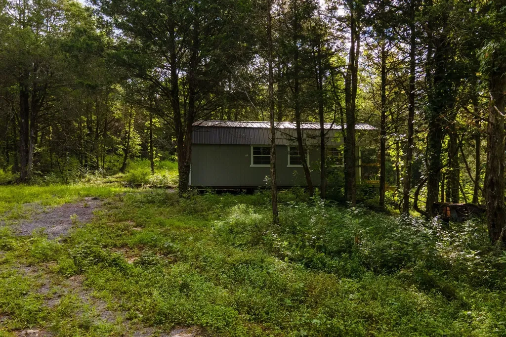 193 Dixon Lane Pleasant Shade TN 37145