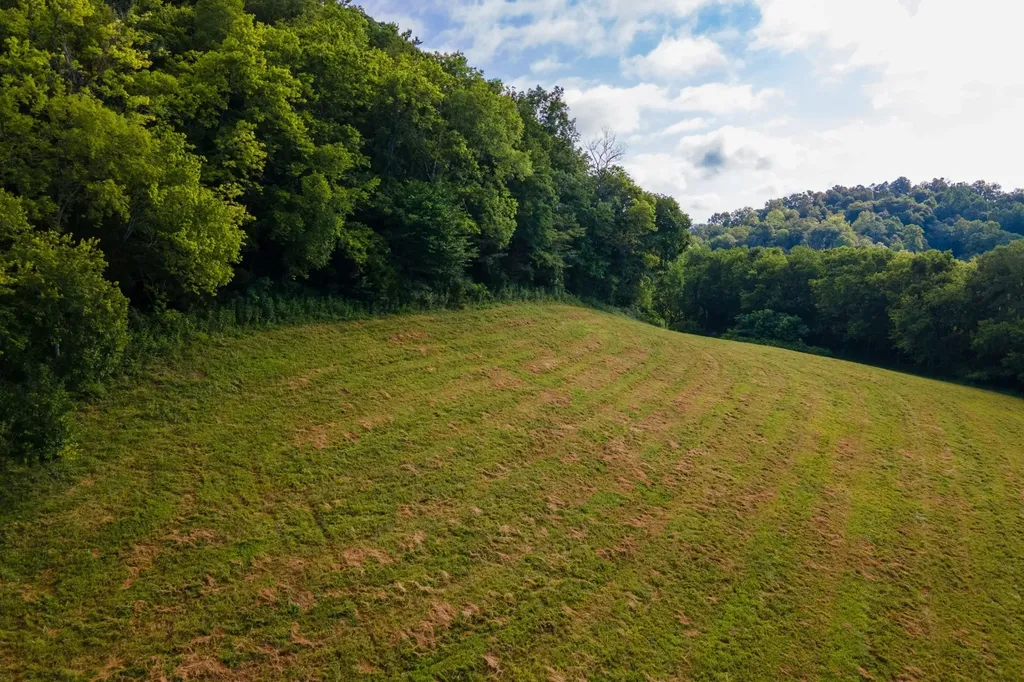 193 Dixon Lane Pleasant Shade TN 37145