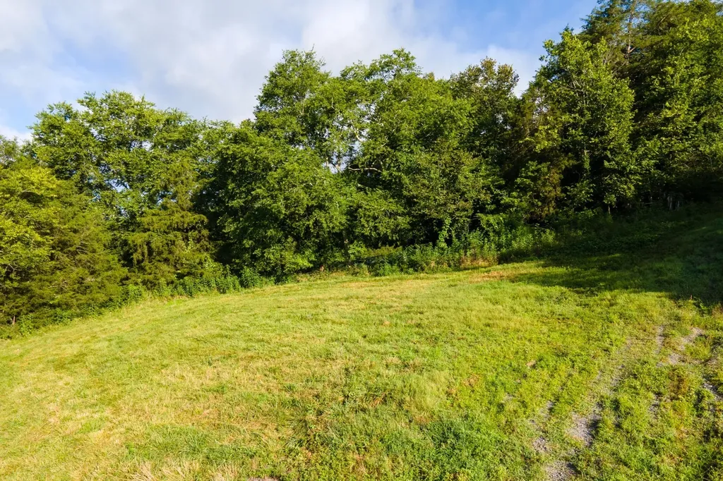 193 Dixon Lane Pleasant Shade TN 37145