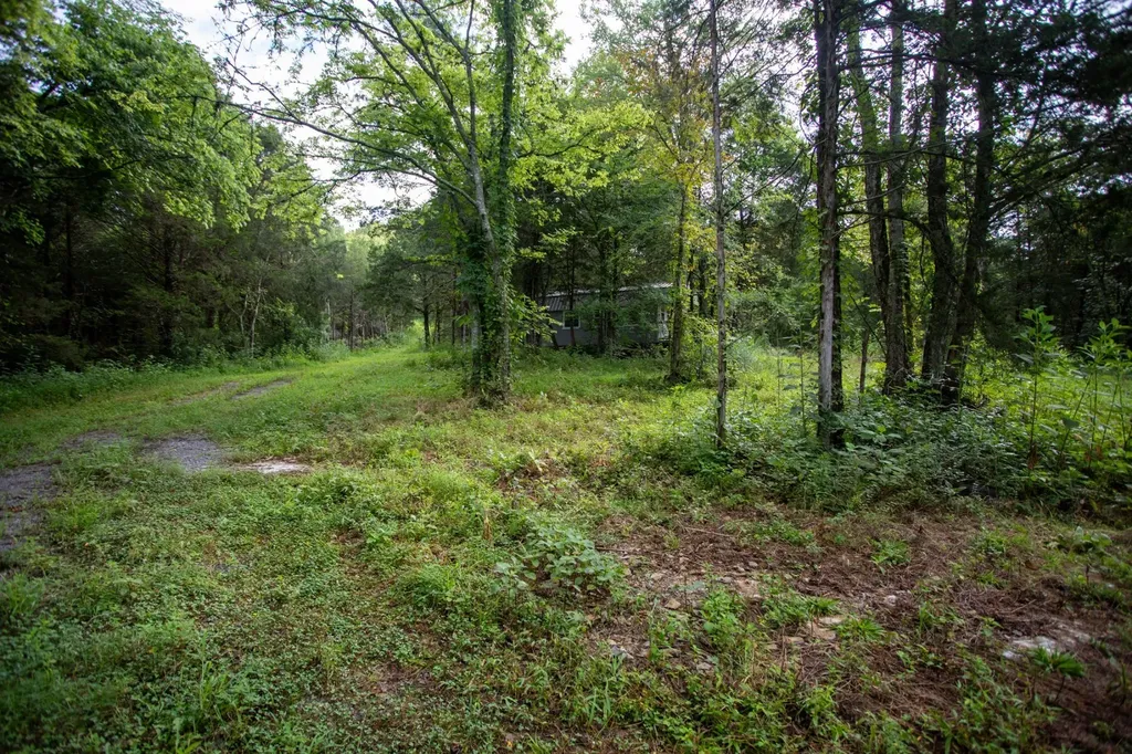 193 Dixon Lane Pleasant Shade TN 37145