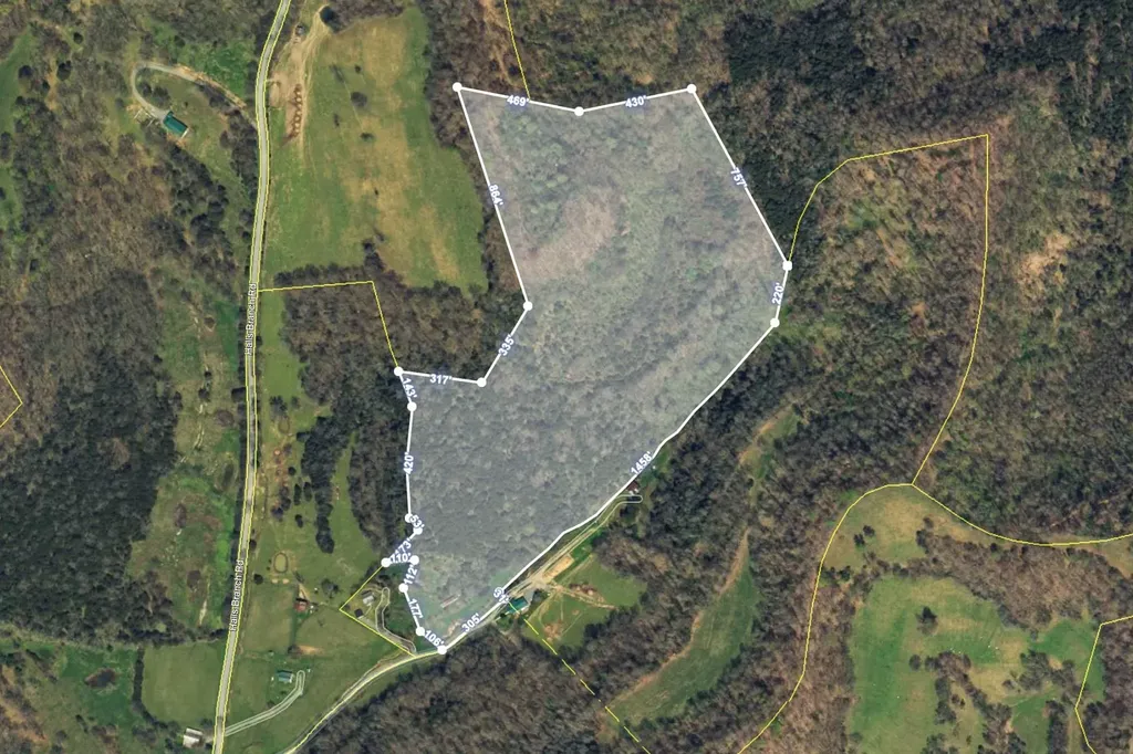 193 Dixon Lane Pleasant Shade TN 37145