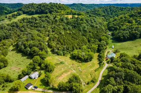 193 Dixon Lane Pleasant Shade TN 37145