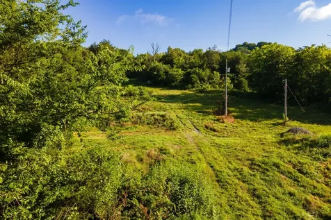 193 Dixon Lane Pleasant Shade TN 37145