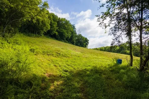 193 Dixon Lane Pleasant Shade TN 37145