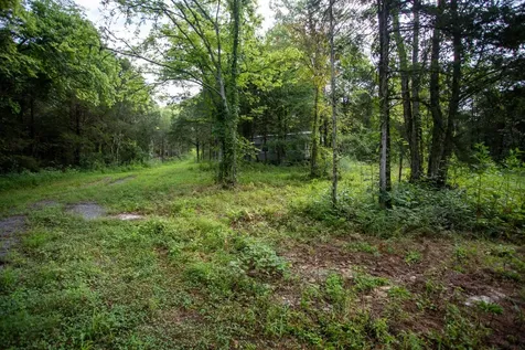193 Dixon Lane Pleasant Shade TN 37145