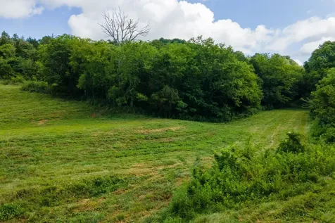 193 Dixon Lane Pleasant Shade TN 37145