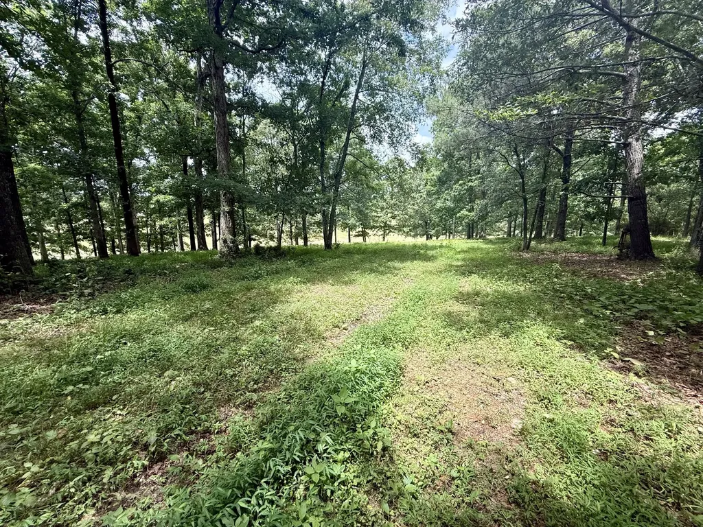 0 Crowder Road Lawrenceburg TN 38464