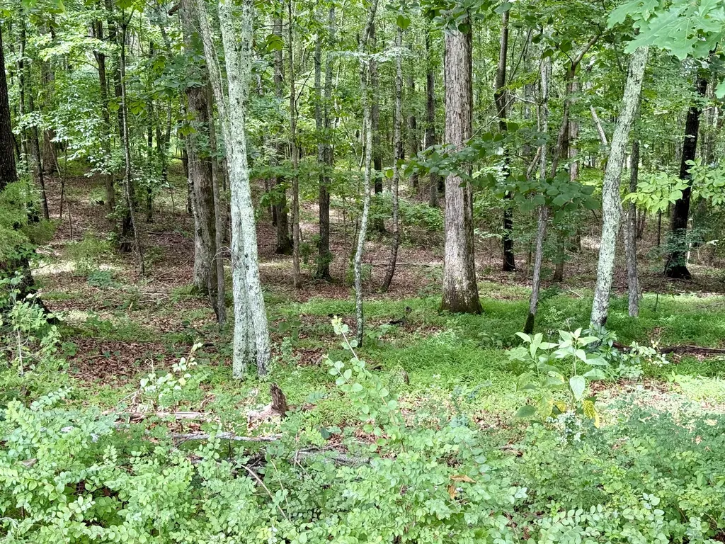 0 Crowder Road Lawrenceburg TN 38464