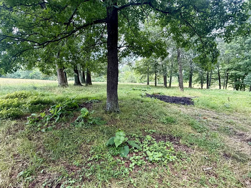 0 Crowder Road Lawrenceburg TN 38464