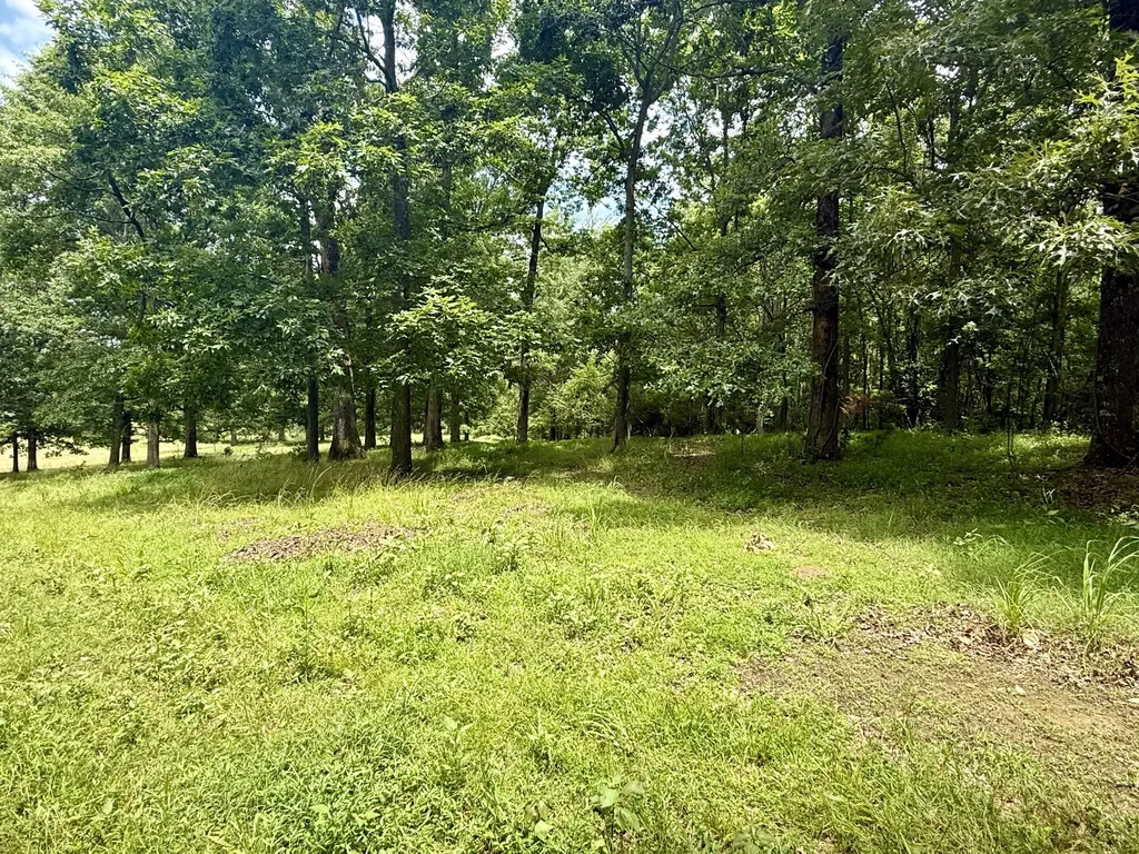 0 Crowder Road Lawrenceburg TN 38464