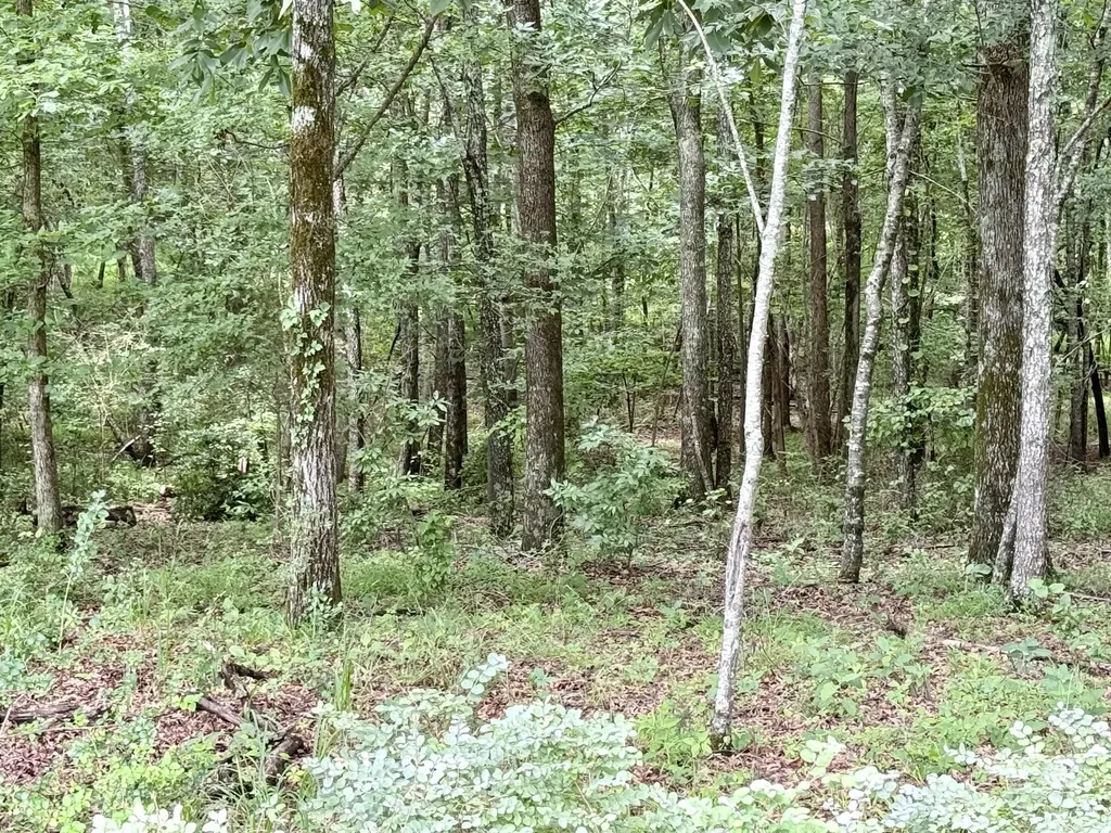 0 Crowder Road Lawrenceburg TN 38464