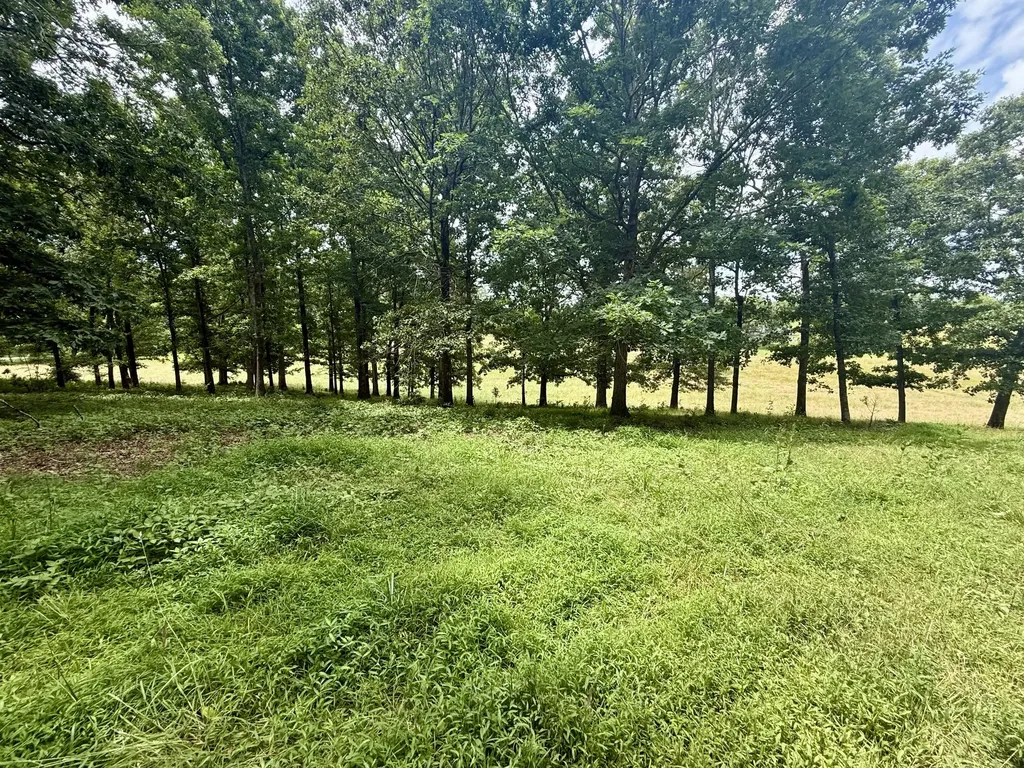 0 Crowder Road Lawrenceburg TN 38464