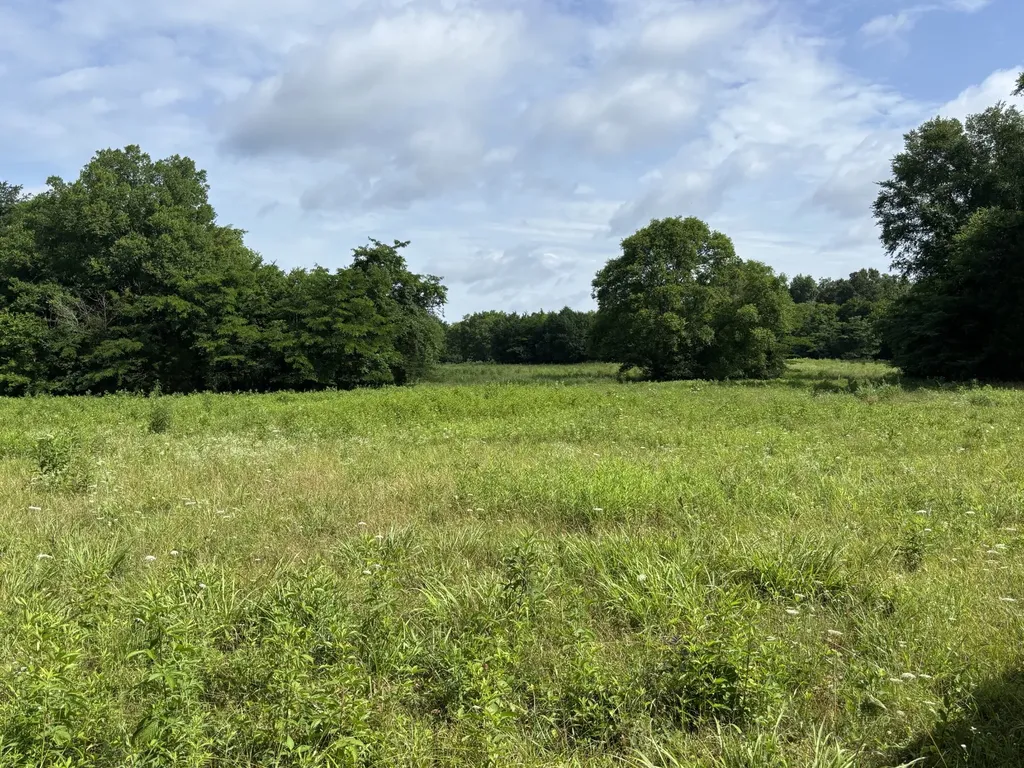 19 Vesta Road Lebanon TN 37090