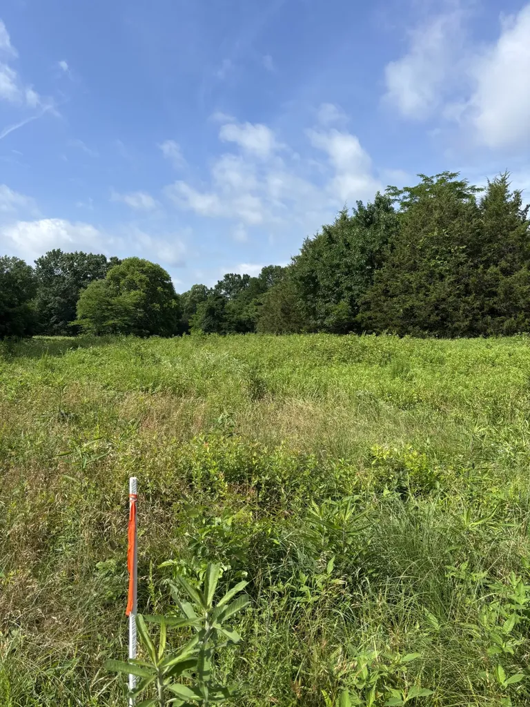 19 Vesta Road Lebanon TN 37090