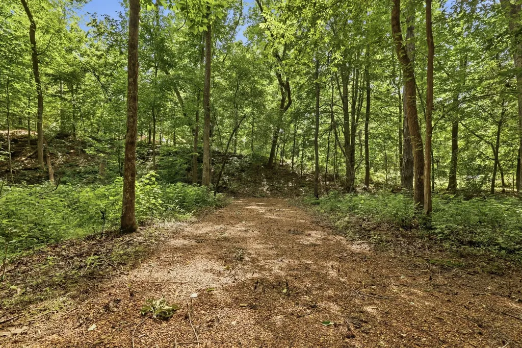 570 Bobcat Trail Dover TN 37058