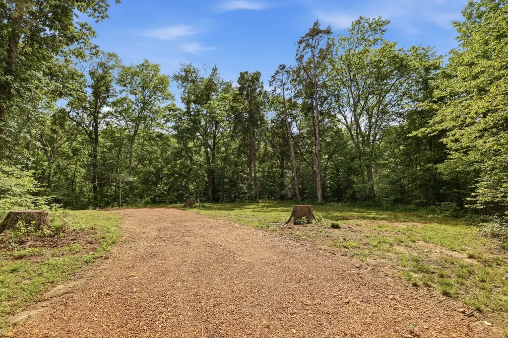 570 Bobcat Trail Dover TN 37058