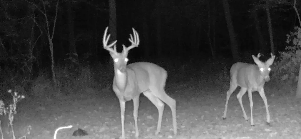 570 Bobcat Trail Dover TN 37058