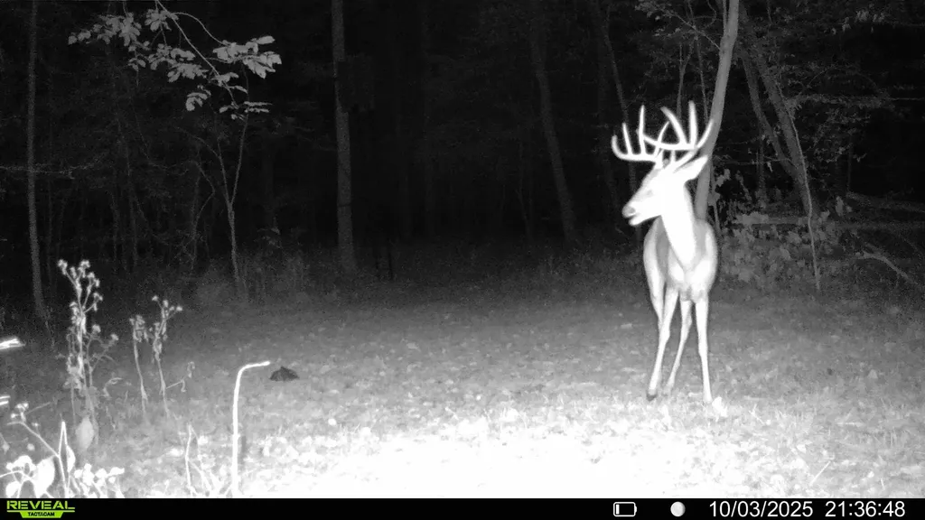 570 Bobcat Trail Dover TN 37058