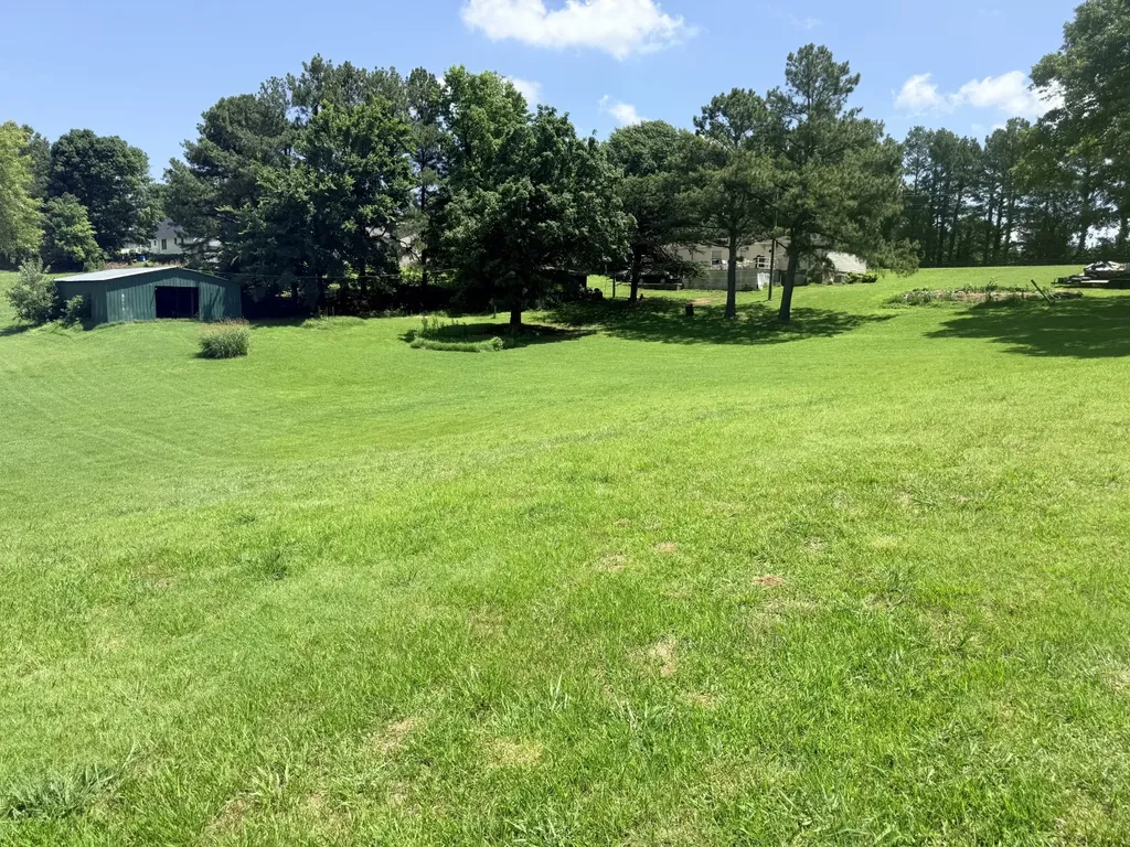 6719 Chestnut Bluff Maury C Road Friendship TN 38034