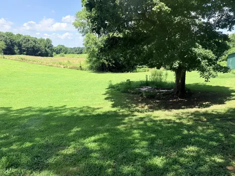 6719 Chestnut Bluff Maury C Road Friendship TN 38034