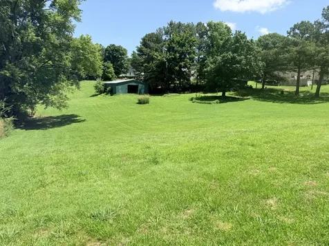 6719 Chestnut Bluff Maury C Road Friendship TN 38034
